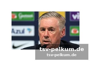 Torwart-poker: lunin oder navarro?