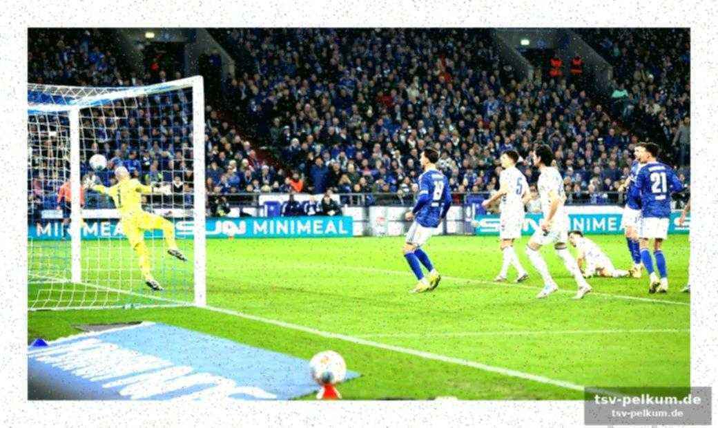 Fazit: schalke dominant, magdeburg mit luft nach oben