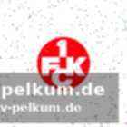 Was sagt der fcm-sportdirektor?