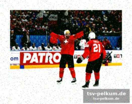 Eishockey: ein realistischer medaillenkandidat