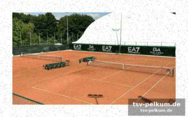 Laura golarsa: vom profitennis zur turnierdirektorin