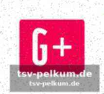 Budget und finanzierung: ein blick hinter die kulissen