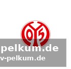Was bedeutet das für mainz?