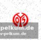 Regelwerk der uefa erlaubt nachnominierungen