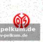 Sportlicher aufschwung bestätigt die strategie