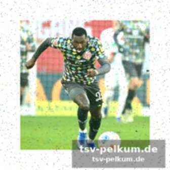 Die herausforderung bvb