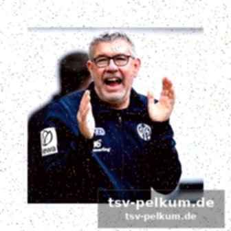 Von der abstiegszone ins viertelfinale – der fischer-effekt