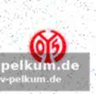Junge alternativen drängen ins team