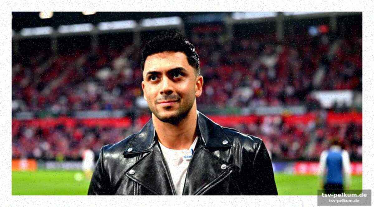 Der zwölfte mann: mainz zählt auf die fans