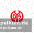 Leihgeschäft mit kaufoption