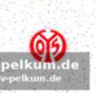 Var-diskussion und formelle korrekturpflicht