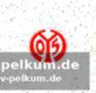 Mainz mit problemen im ersten durchgang