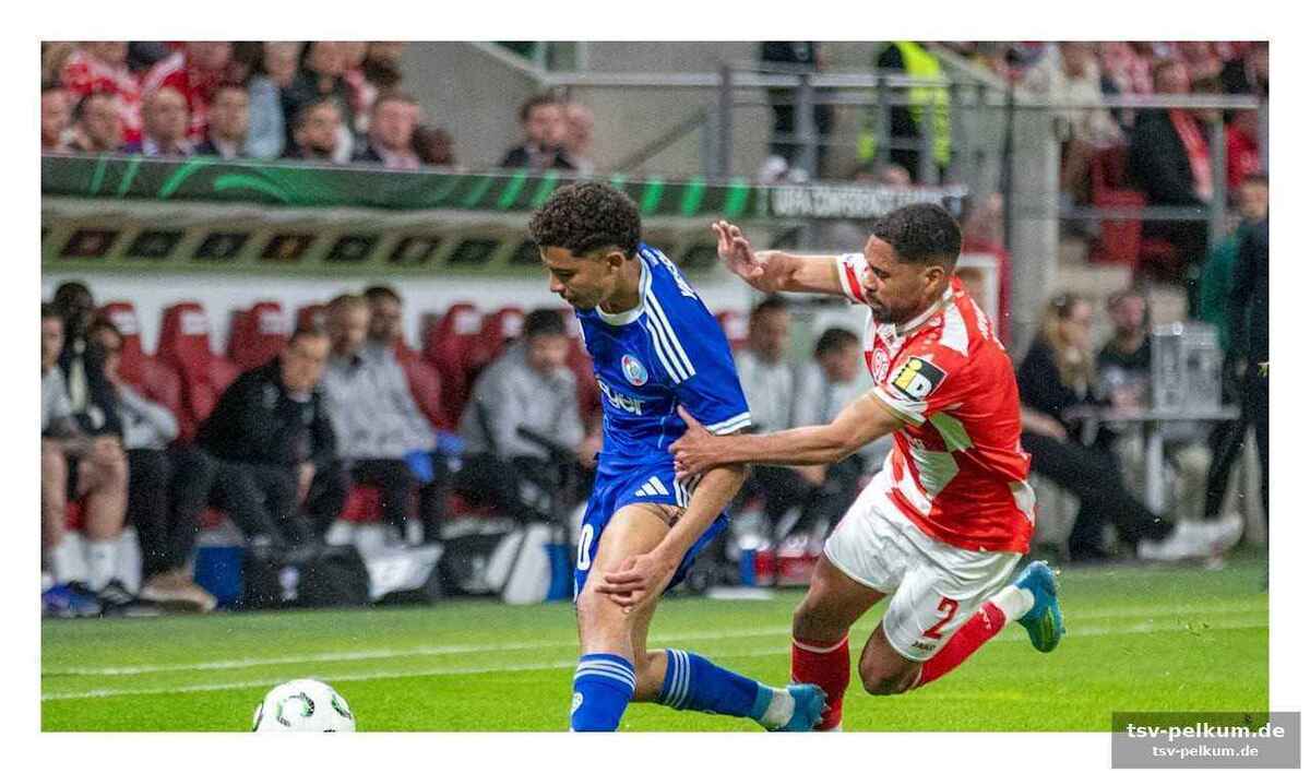 „Cool und mutig“: fischers appell an seine mannschaft