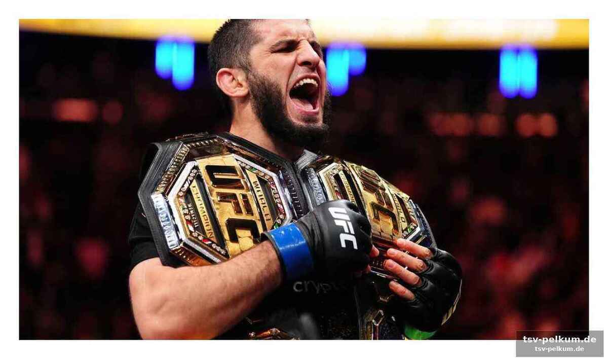 Mcgregor im fokus: der plan b für die ufc
