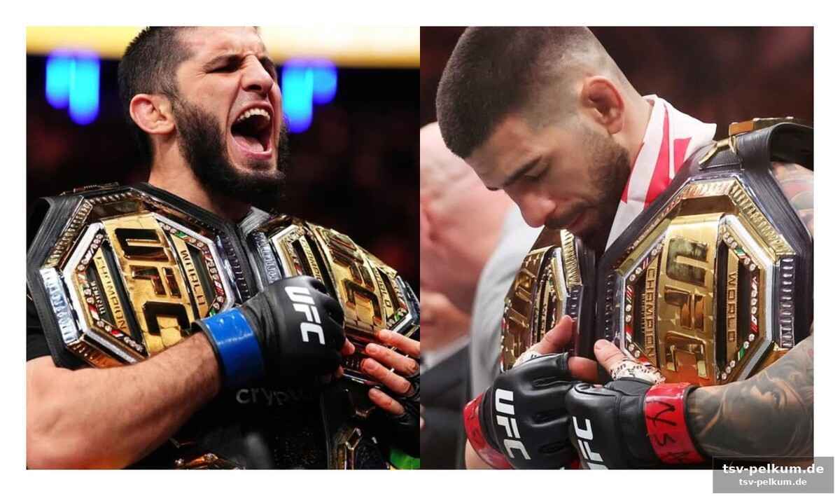 Ein sommer voller überraschungen für die ufc?