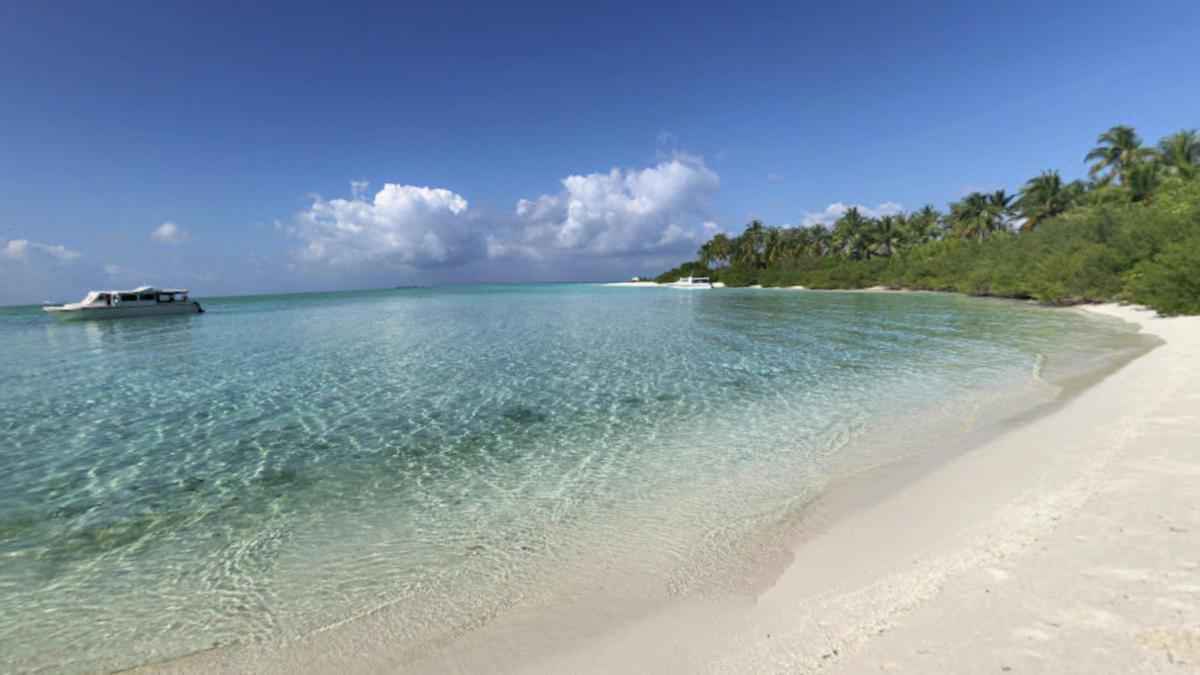 Maldive: fünf italienische taucher sterben – professorin unter den opfern