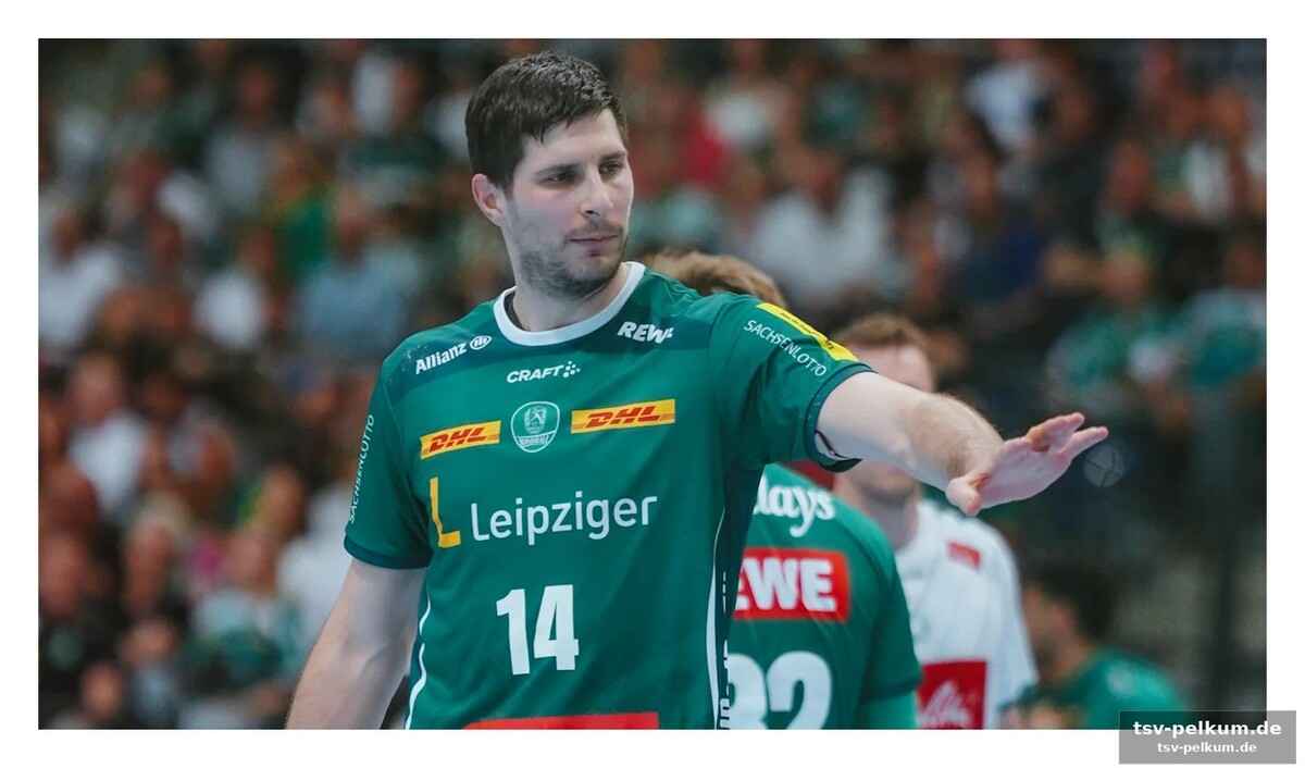 Vom abstieg zur champions league – ein handball-märchen?