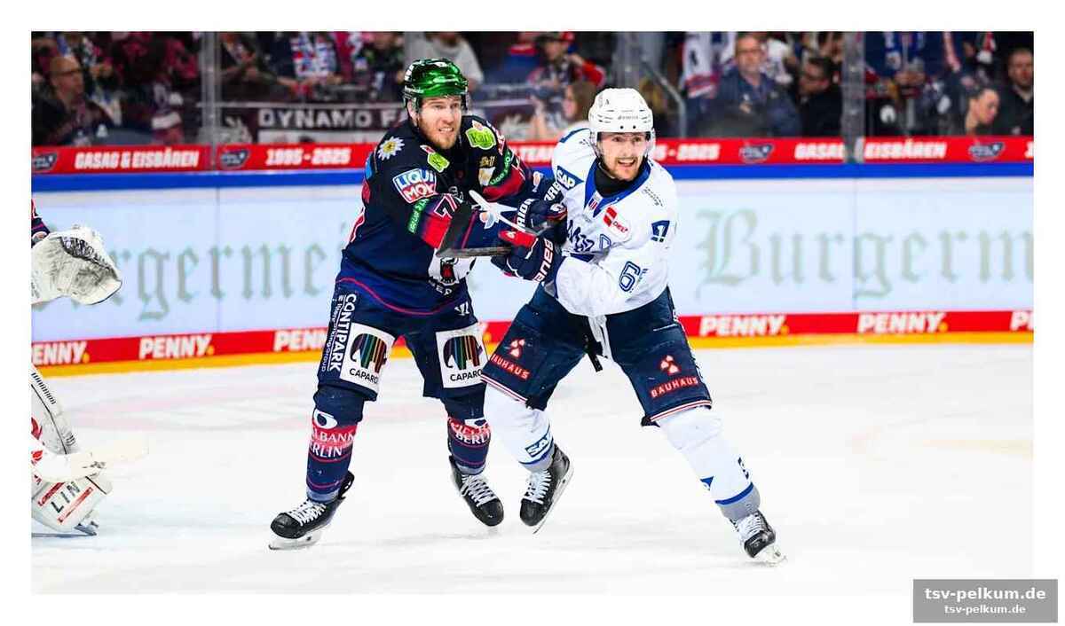 Fokus trotz serienführung: die eisbären bleiben konzentriert