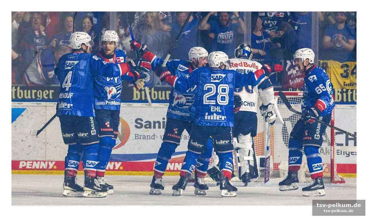 Eisbären berlin vor dem entscheidenden spiel gegen köln