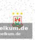 Strahlen nach dem champions league-spiel