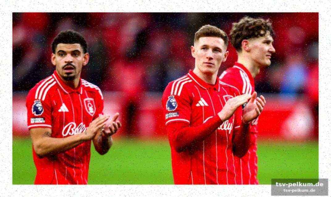 Nottingham forest im fokus