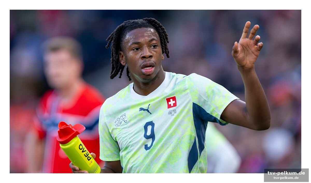 Schlüsselspieler für die nati: manzambi auf dem weg zur wm?