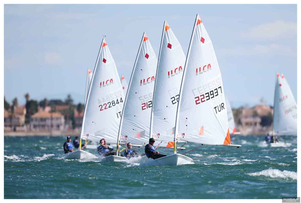 Das format: qualifikation und finale