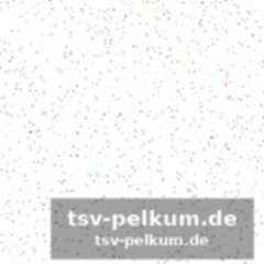 Der lange weg zurück