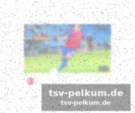 Stammspieler und double-sieger