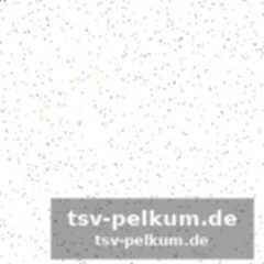 Die regeln der raserei