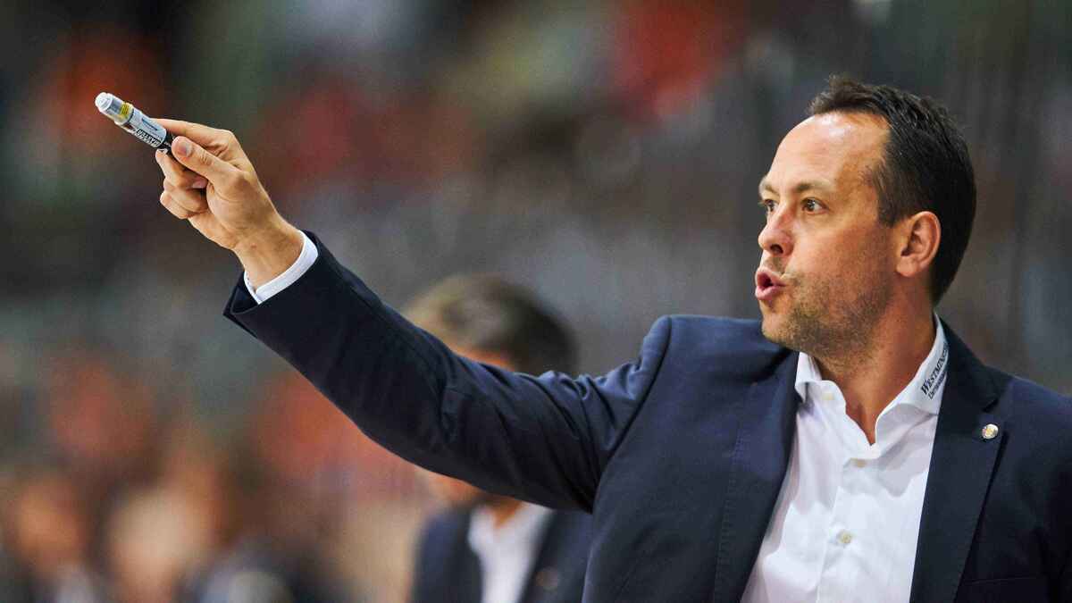 Marco sturm: olympia-chance für deutschland ist etwas besonderes