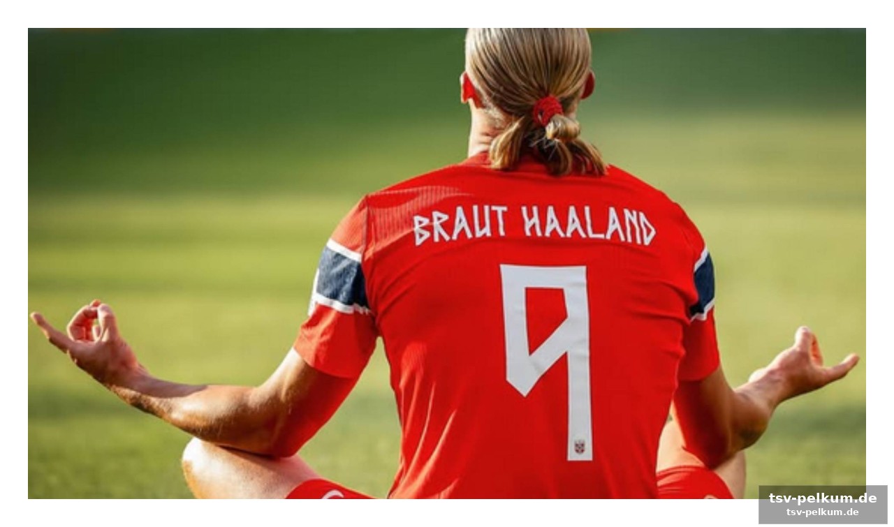 Norwegen: haaland und die taktik der erhaltung