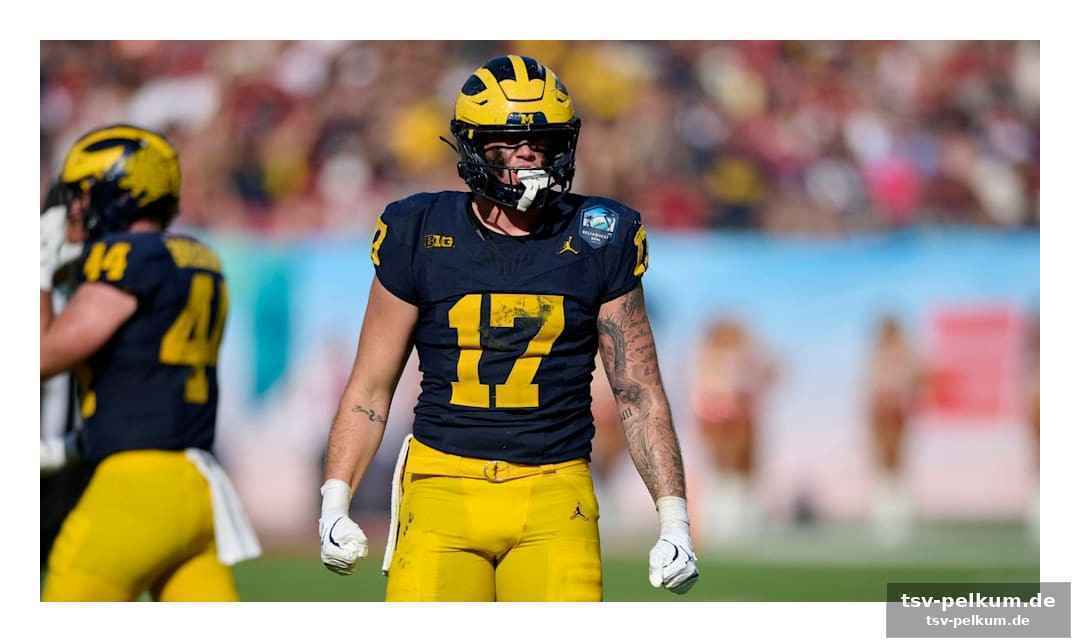 Die michigan-connection und die entwicklungsperspektive