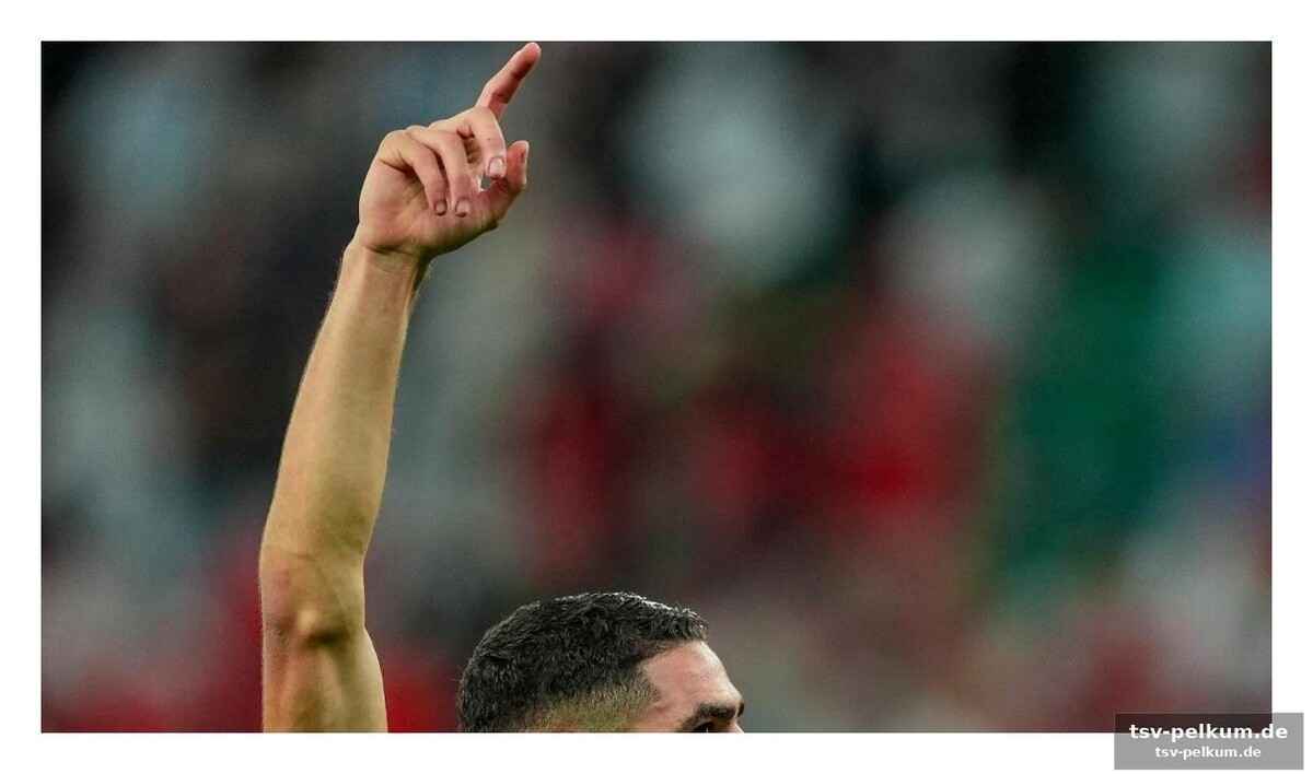 Verteidigung: mazraoui als geheimtipp