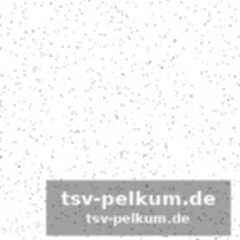 Alex marquez setzt sich durch