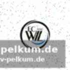 Starke leistungen in der challenge league