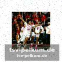 Maryland terrapins: ein team im aufwind