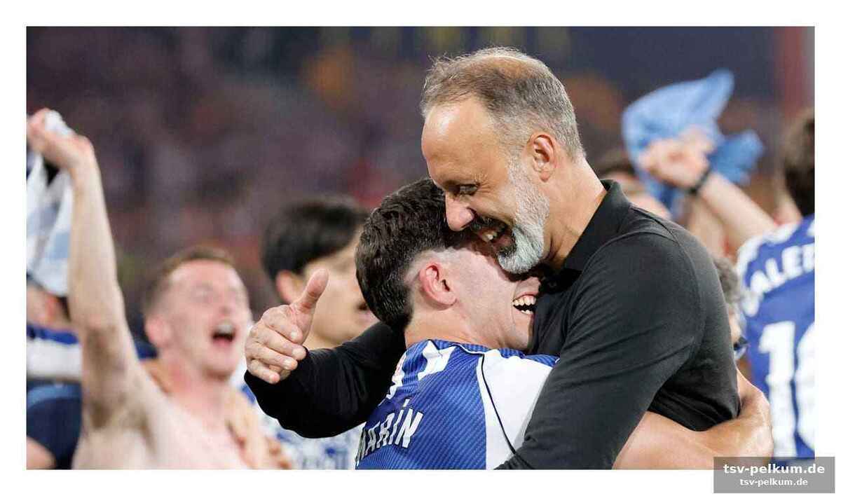 Junge wilde und die rückkehr des torwarts: die helden des finals