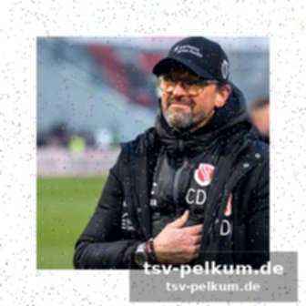 Lob von den füchsen berlin
