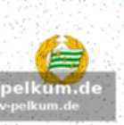 Gespräche mit dem dfb