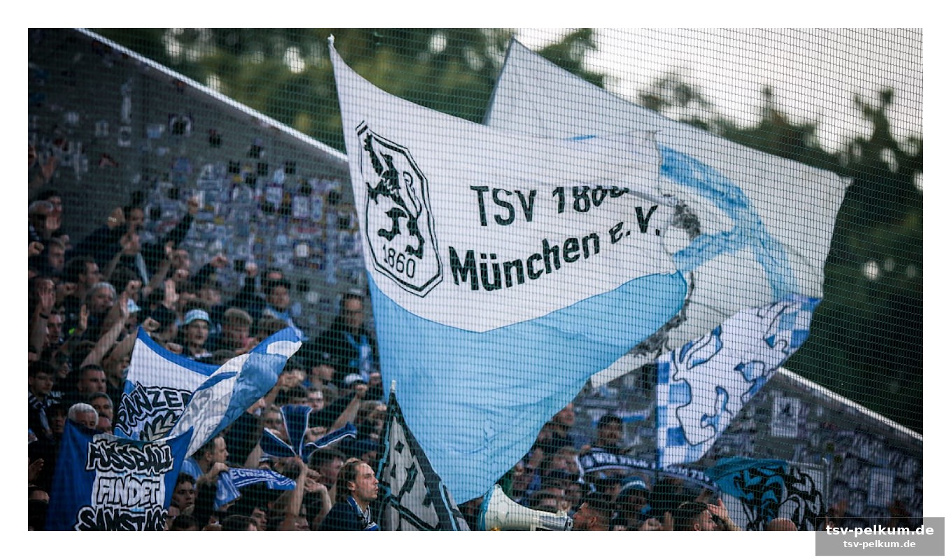 Die solidarität des champions