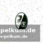 Ein vergleich mit anderen bundesliga-legenden