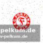 Die reaktion des vereins