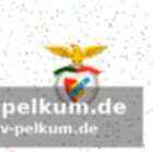 Gleichstand mit raúl in greifbarer nähe