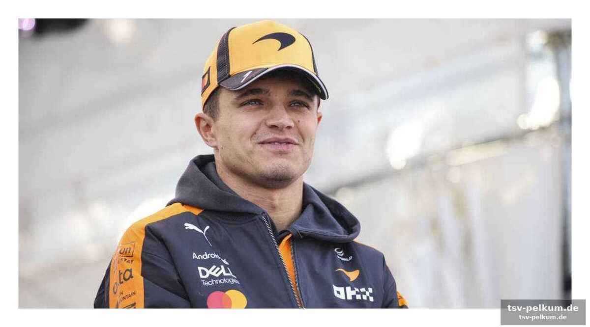 Mercedes enteilt, red bull zahlt den preis