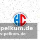 Handball-bundesliga: aktuelle tabelle und spielplan