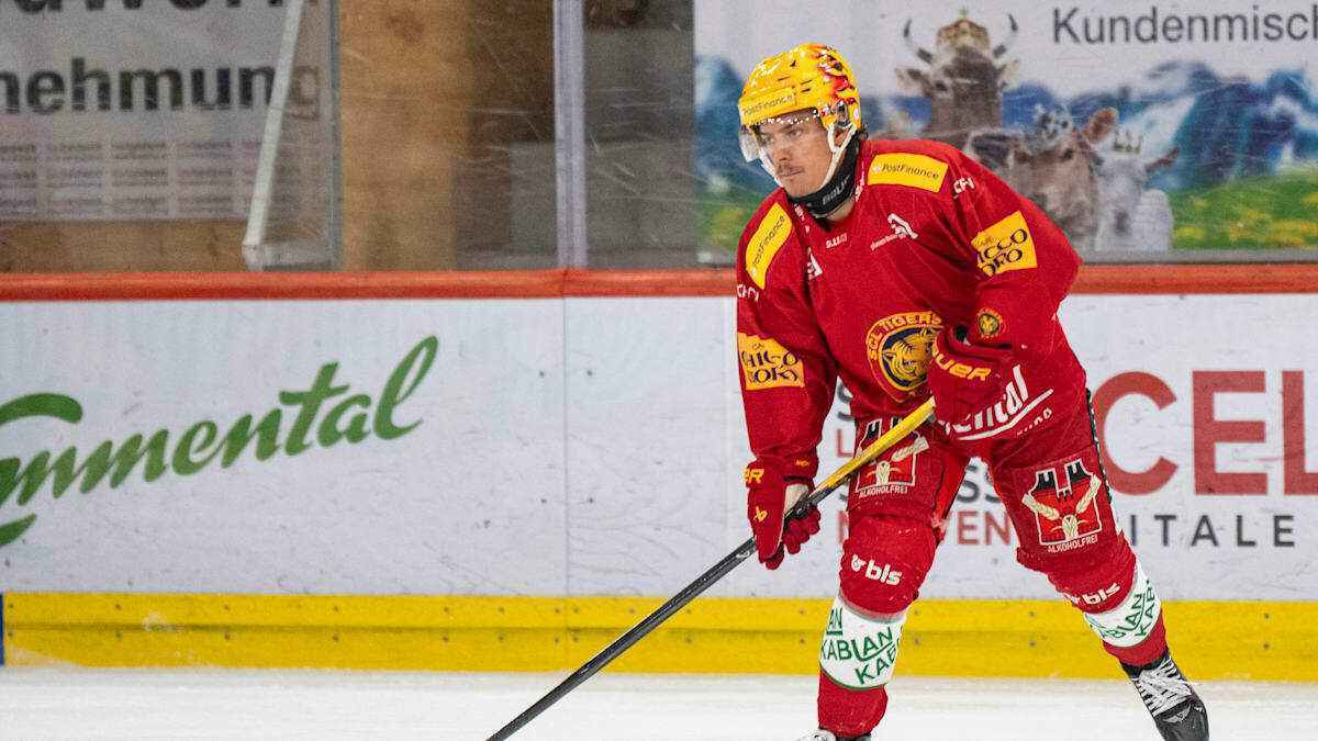 Meister fribourg-gottéron: die top-scorer der national league saison 2025/26 enthüllt!