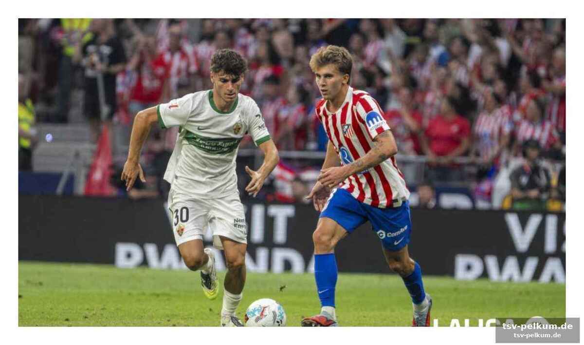 Die rückkehr nach elche und das champions-league-hoch