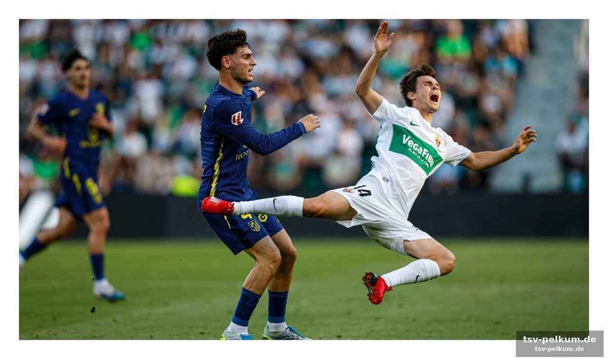 Die achterbahnfahrt des mittelfeldspielers