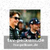 Die vollständige erklärung der fia